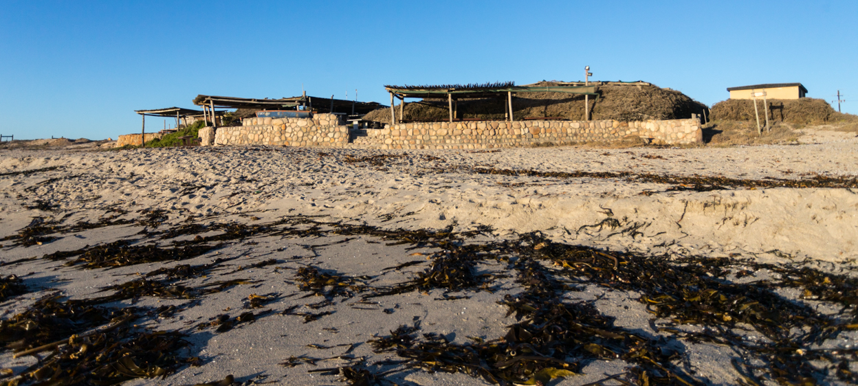 Muisbosskerm At Lamberts Bay