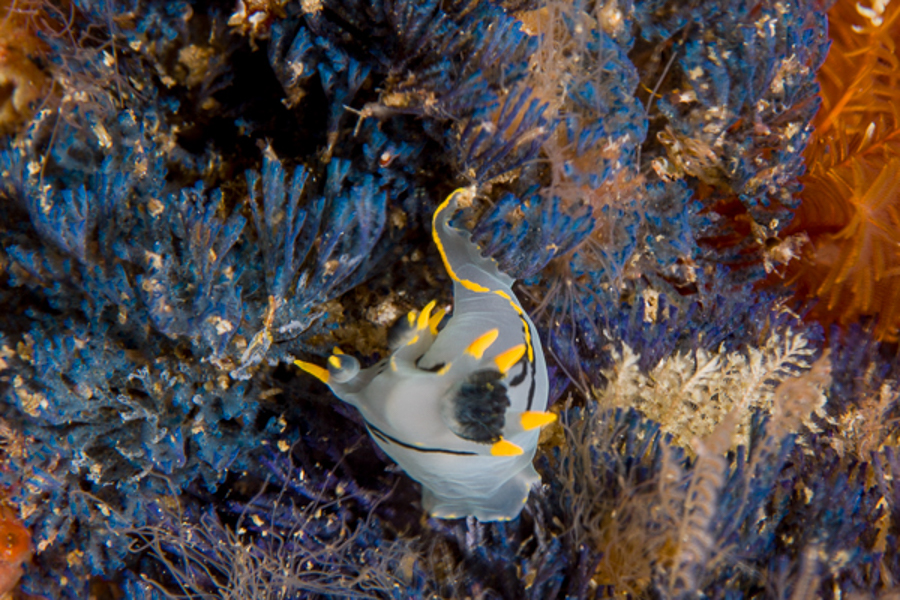 Stacks Image 731