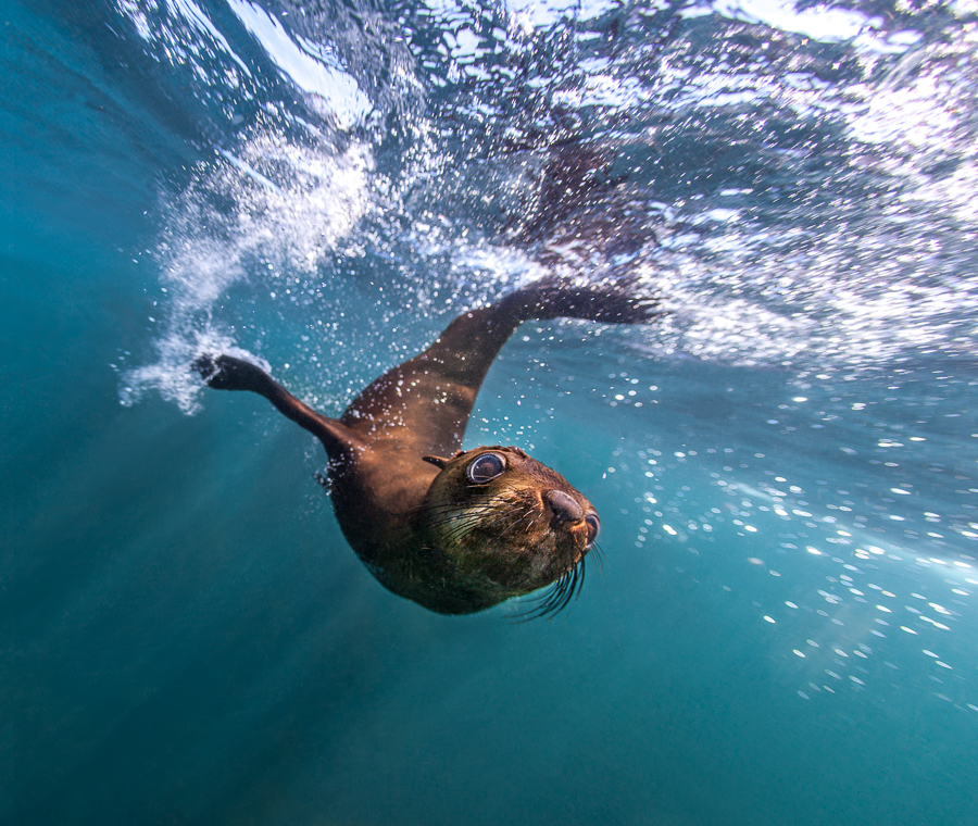 Stacks Image 934