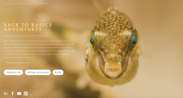 Back To Basics Scuba