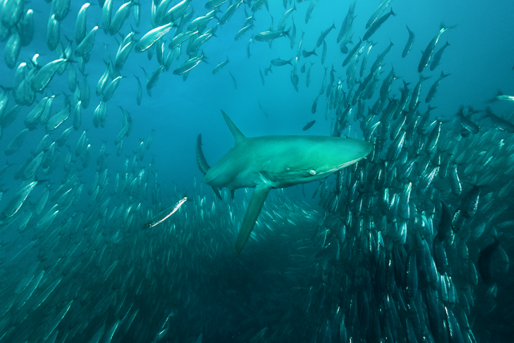 Stacks Image 957