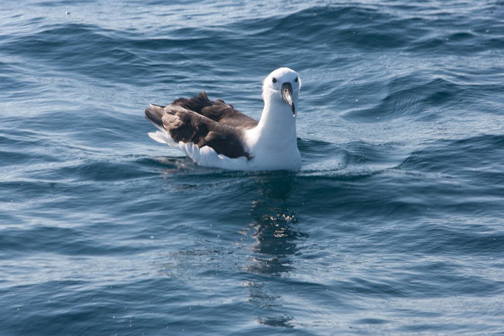 Stacks Image 903