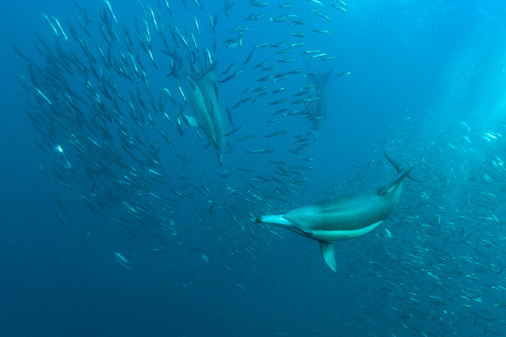 Stacks Image 852