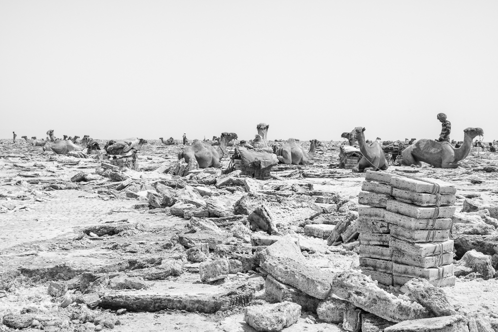 Stacks Image 1035