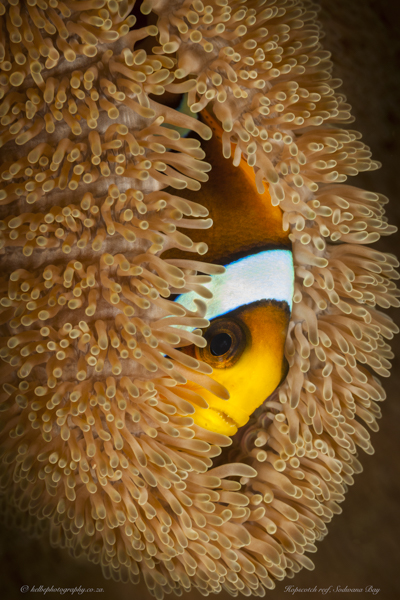 Stacks Image 1096